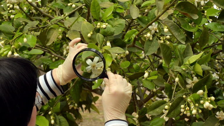 Environmental Monitoring