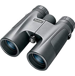 10x42 Binoculars