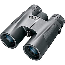 10x42 Binoculars