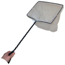 Aquarium Net