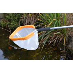 Economy Pond Net