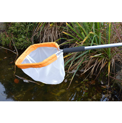 Economy Pond Net