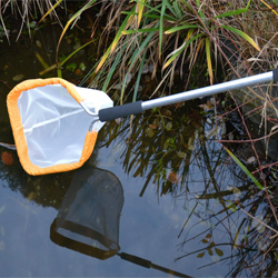 Fish Farming and Aquaculture
