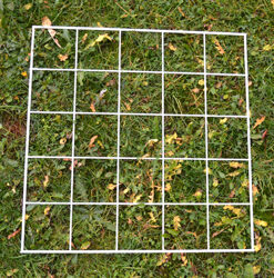 Q2 quadrat