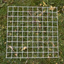 Q3 Quadrat