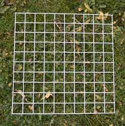 Q3 Quadrat