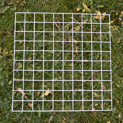 Q3 Quadrat
