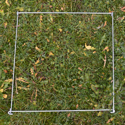 Q4 Quadrat - Image 2
