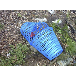 Skanemjarden Crayfish Trap - Image 3
