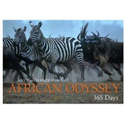 African Odyssey 365 Days