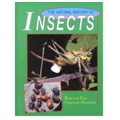 Natural History of Insects