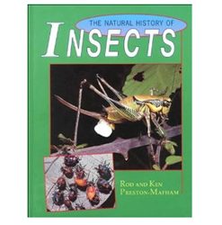 Natural History of Insects