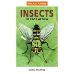 Insects of East Africa (Pocket guide)