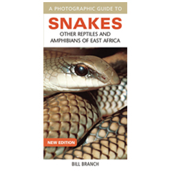 Snakes other reptiles and amphibians (photographic guide) by Bill Branch