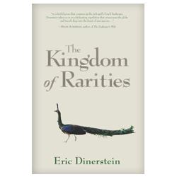 The Kingdom of Rarities