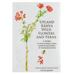 Upland Kenya Wild Flowers and Ferns